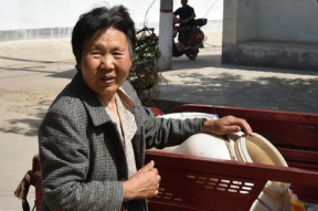 乡村大娘应聘保姆怎么样