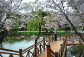 生态广场应聘要求怎么写