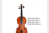 上海小提琴老师应聘条件