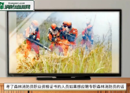 森林消防员应聘技巧培训