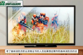 森林消防员应聘技巧培训