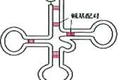 运城空港超市招聘吗