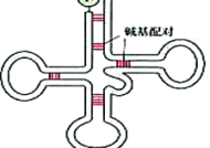 运城空港超市招聘吗