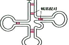运城空港超市招聘吗