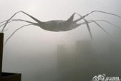 西安外星人夜场招聘电话