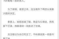 应聘你的夫婿后续怎么写