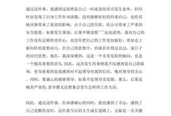 职场错误反思怎么写范文