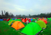 成都夜场招聘人才信息