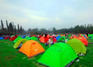 成都夜场招聘人才信息