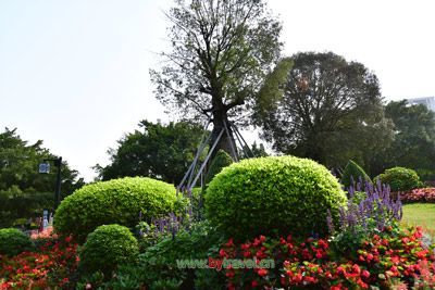 宜章福星酒店招聘  第1张