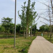 应聘公园保安怎么说话呢  第1张